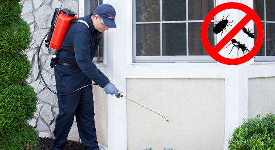 Taşlıçay Kemirgen İlaçlama böcek ilaçlama ve haşere kontrolü — ilaclama-tr.com